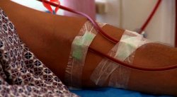 Қазақстанда донор тапшы